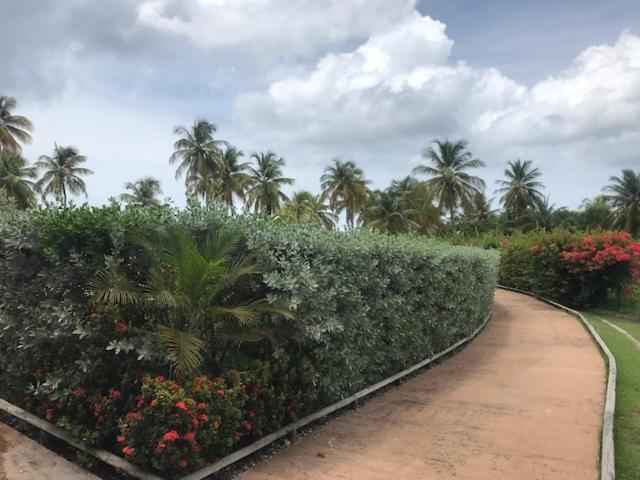 Bonheur A La Residence Savane Le Gosier  Exterior photo